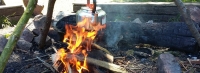 8-12yrs Adventure Session (Woodland)
